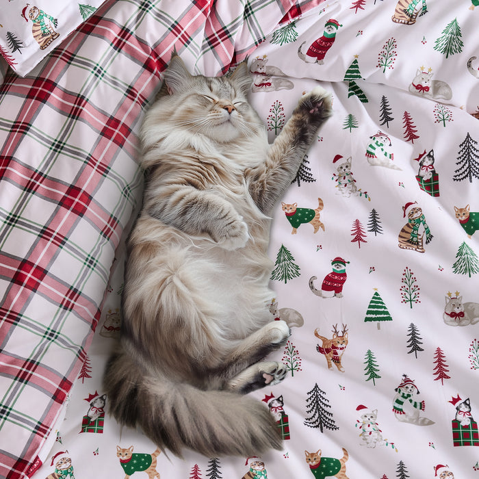 Levtex Home Meowy Christmas Comforter Set Comforters