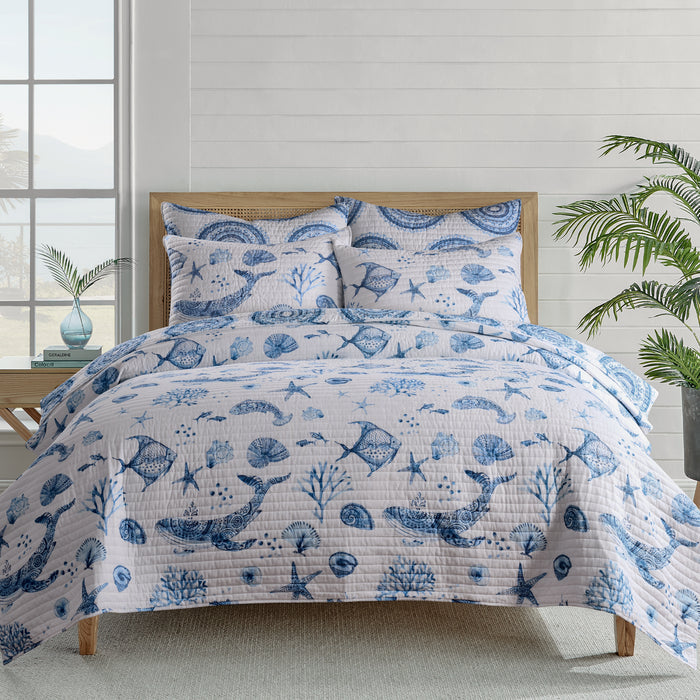 Bed with blue and white sea-themed bedding set in a bright room with plants.